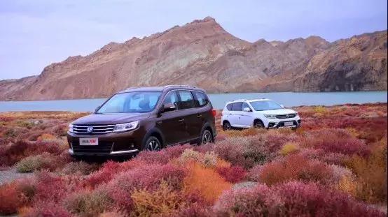 这两款车带“T”,还有超长质保,我觉得很OK