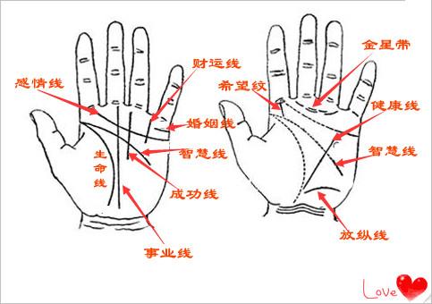 手相中 元宝纹 与 三角纹 的富贵层次区别