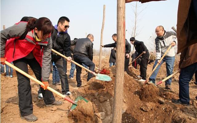公务员、事业单位、国企退休年龄或有新变化!