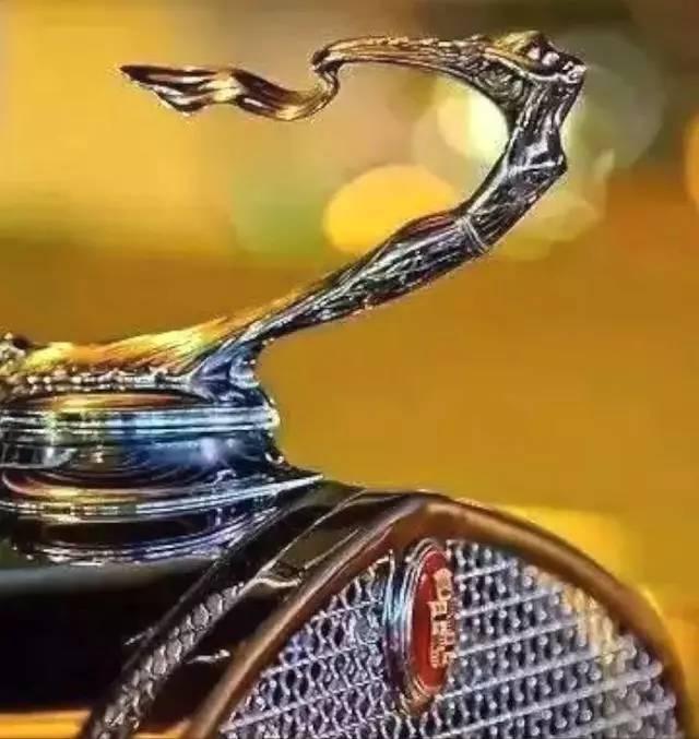 这抠脚大汉、这蠢萌的狮子到底是哪个厂家的车