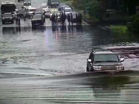 大暴雨淹了半座城阻塞交通，唯它只身前往顺利通行