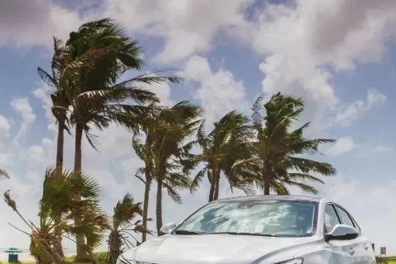 秀外慧中的不只她们  还有TA