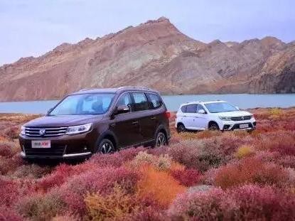 这两款车带“T”，还有超长质保，我觉得很OK