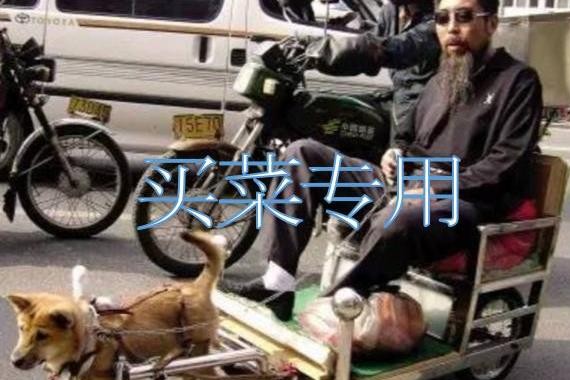 专业｜悬架术语进阶攻略
