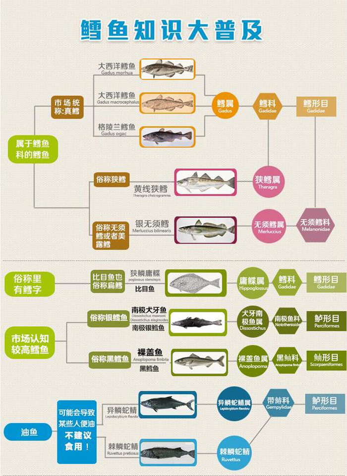 麦当劳“深海鳕鱼堡“用的是假鳕鱼？真相在这里！
