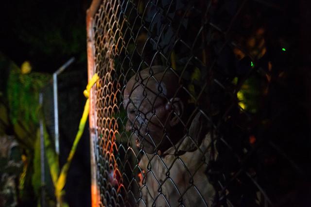 在新加坡环球影城,我度过了人生中最恐怖的一