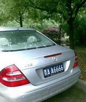 中国最富老太太非她莫属, 她的车牌如此与众不