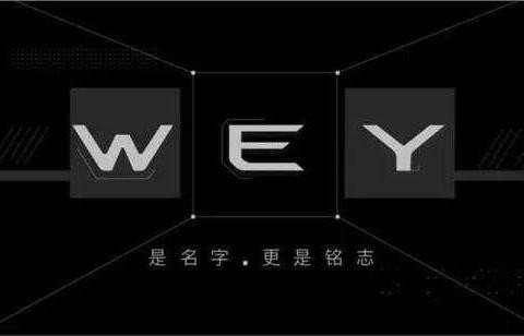 综合油耗3L, WEY全新豪华suv亮相, 尺寸超越奥迪Q5
