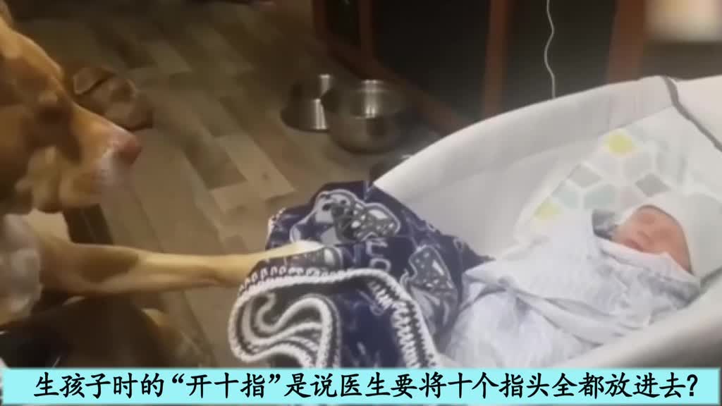 生孩子时的"开十指"是说医生要将十个指头全都放进去?
