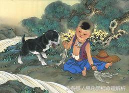 十二生肖里哪个智商最高，看你排第几？