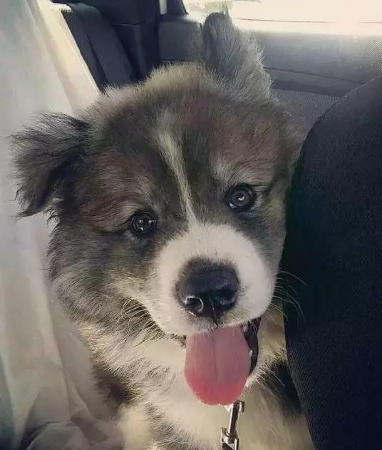 小时候乖乖的还是蛮可爱.