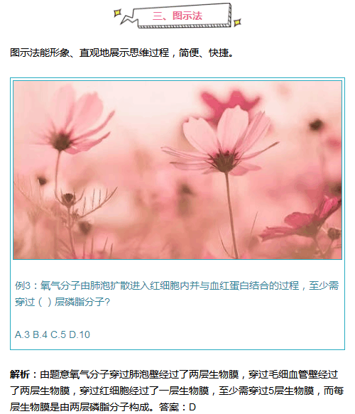 高考状元: 生物偷分6技巧, 考满分都没问题!