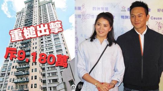 张智霖终于花九千万买房，评论：人家买房是为了装老婆的包的！