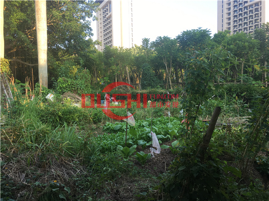 西丽湖度假村：千米画廊环湖而行