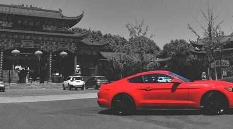 大道无疆任我野马驰骋, 野味十足骚浪兼带, 谁入手谁赚