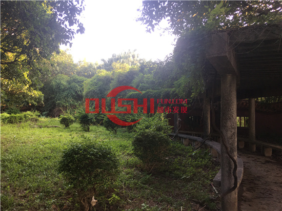 西丽湖度假村：千米画廊环湖而行