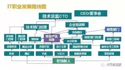 知道IT小白如何从职场新人到行业翘楚的吗？一文看懂职业发展路线