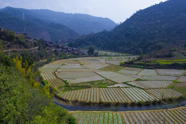 云南省以山为名的两个地级市