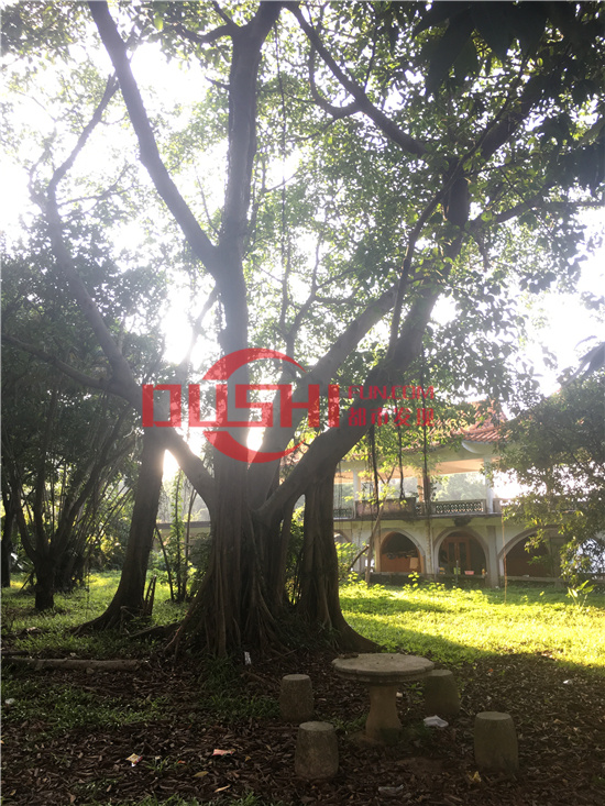 西丽湖度假村：千米画廊环湖而行