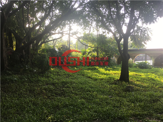西丽湖度假村：千米画廊环湖而行