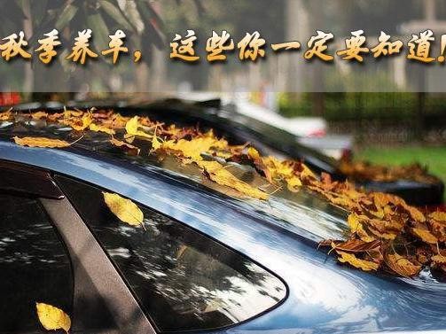 秋季养车，这些你一定要知道！