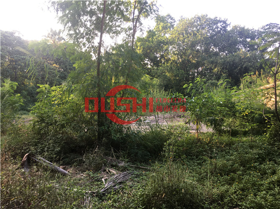 西丽湖度假村：千米画廊环湖而行