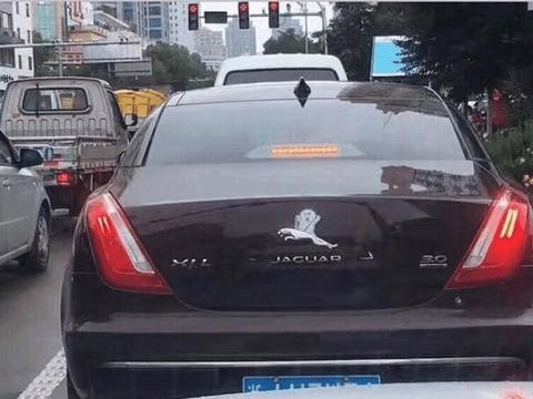 中国车主太会玩车标了，个个都是老司机，最被玩坏的是标致！