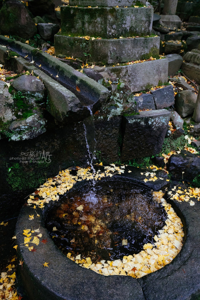 日本|奈良·秋天的童话
