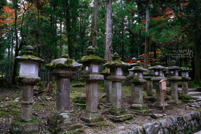 日本|奈良·秋天的童话