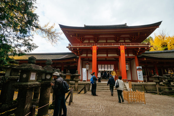 日本|奈良·秋天的童话