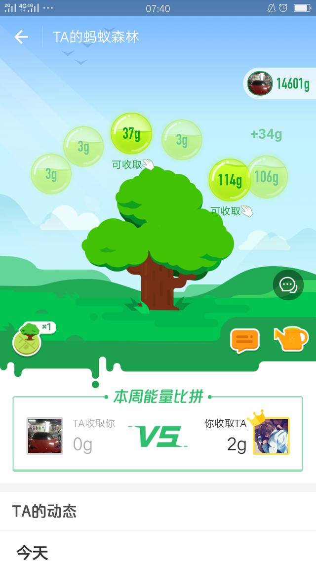 v树林宝树林图片偷了一吨量,种下一片小蚂蚁,是做到的?蝴蝶花琼森林大全图片