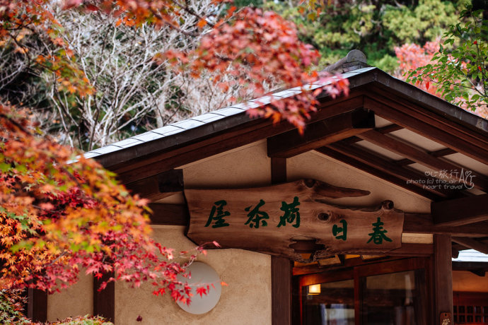 日本|奈良·秋天的童话