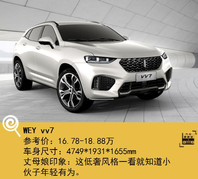 奥迪Q3和宝马X1选哪款丈母娘会满意?
