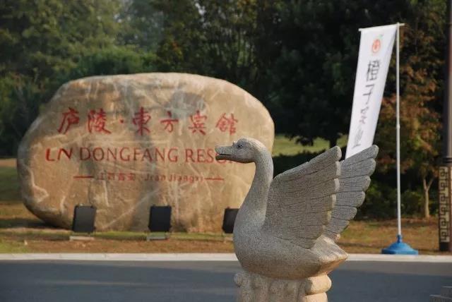 祝贺一号有车滴滴车主招募会活动圆满结束!