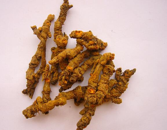 用食疗来治湿热泻痢选择黄连和黄芪做汤羹