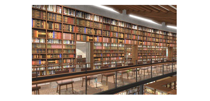 「范文」大学生阅读素养现状分析