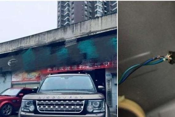 百万豪车路虎因一只老鼠, 最后被拆得只剩空壳, 车主表示苦不堪言