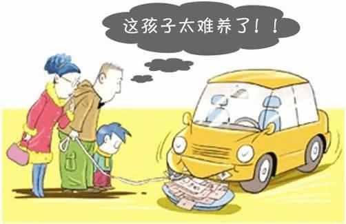 途虎养车轮胎_月收入多少可以养车