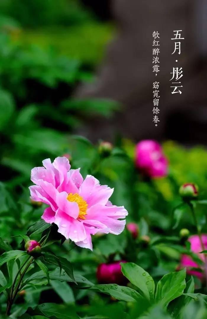 古训：成大事者，不拘小节