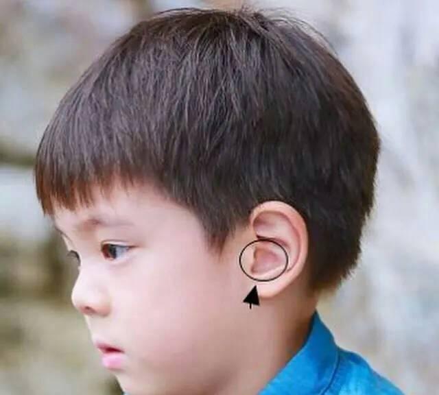 嗯哼耳朵形状神奇,怪不得是撩妹高手