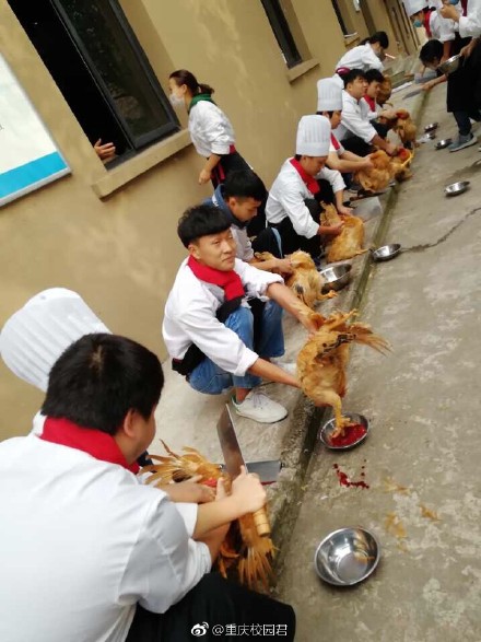 重庆一学校实训课杀鸡!大吉大利,晚上吃鸡!