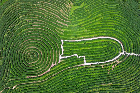 海南出台11项政策推广新能源车 两年推广近4000辆