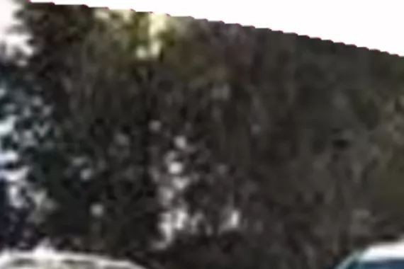 “丰田“最新资讯都在这了，就等你来