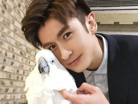 他是杨幂旗下力捧的男演员,却被传花心还曾. 来