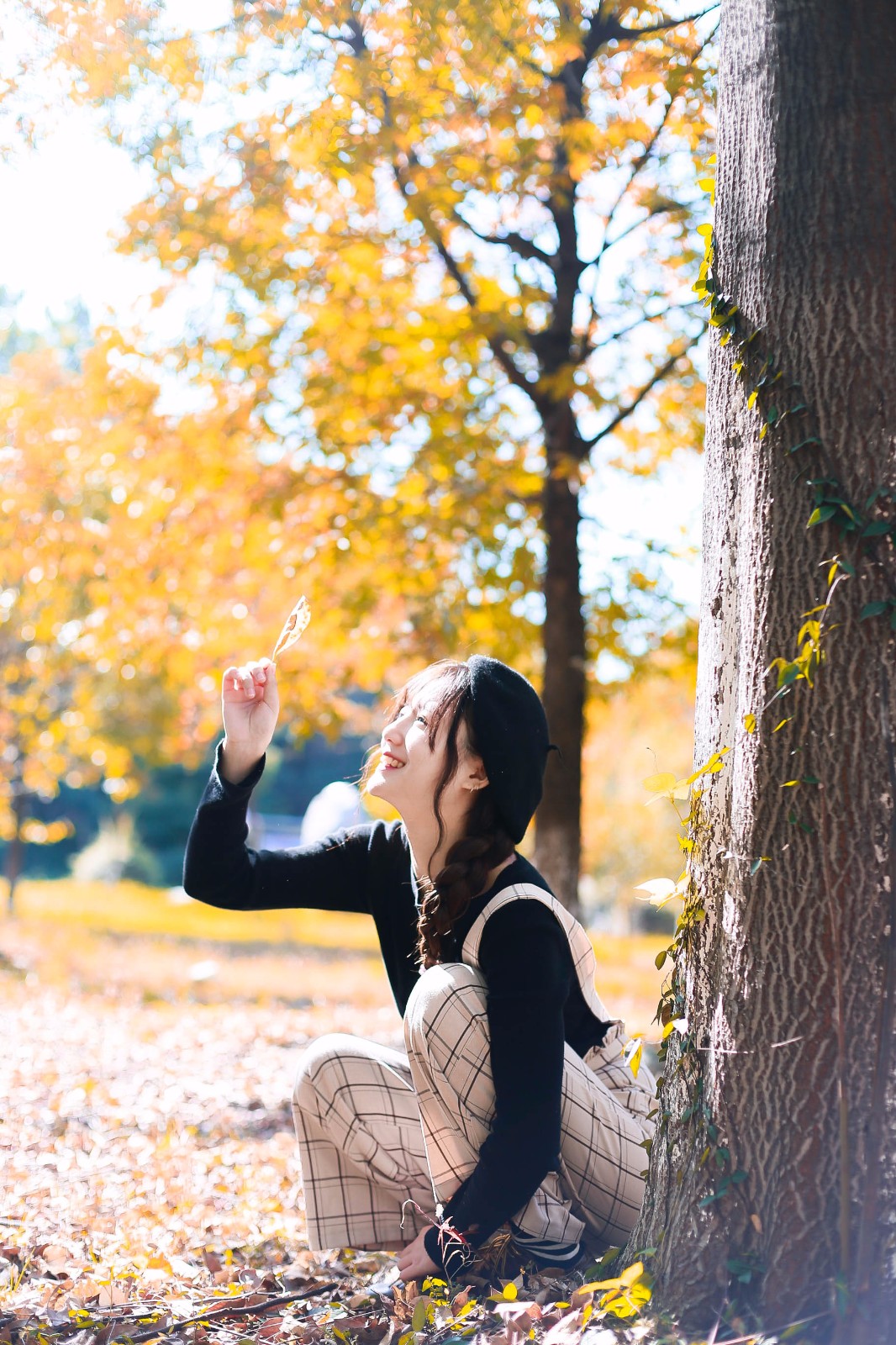 银杏叶都开好了,要不要一起去拍照