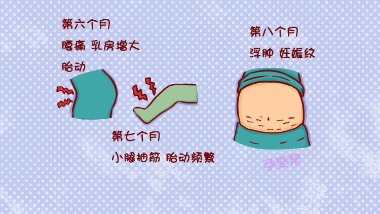 怀胎十月,你知道每个月的特点都是什么吗?|宝宝|怀孕