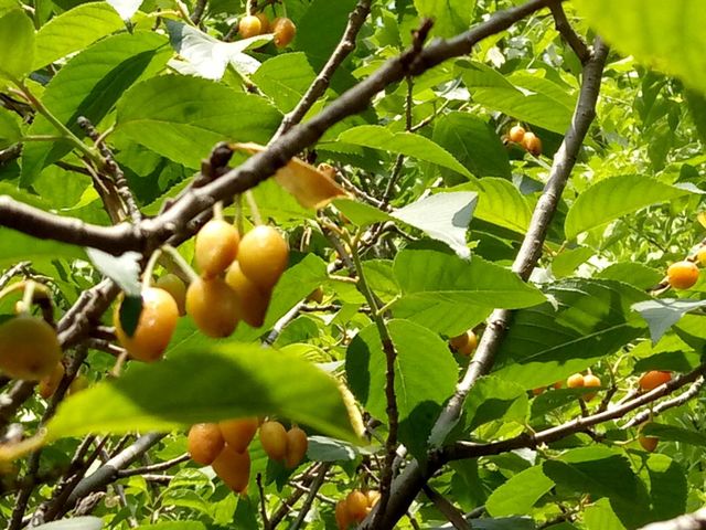 职场失意时,看看老油条常说的五句话,情绪马上