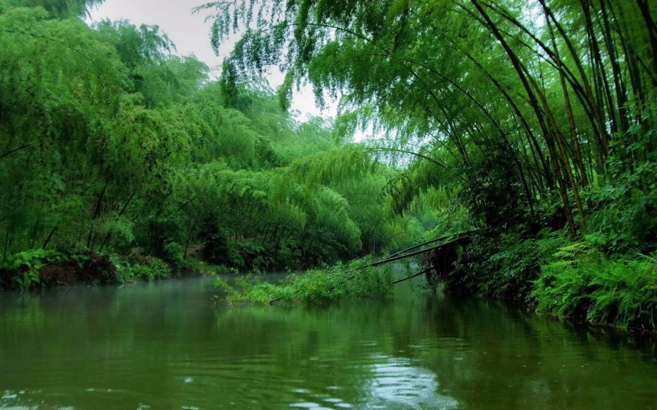 自驾秋色川渝品味武隆、游乌江百里画廊、赤水