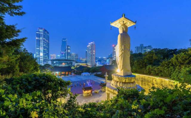 AA学车来告诉你中国驾照全球通用吗?如何换国