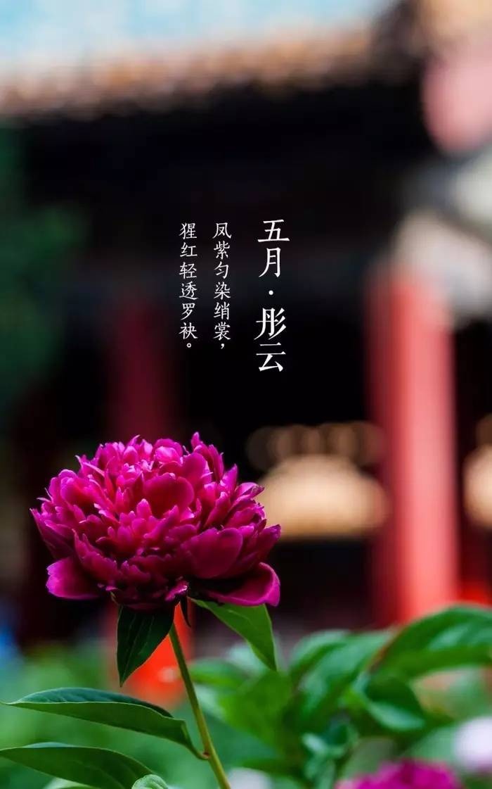 古训：成大事者，不拘小节